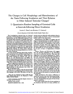The Changes in Cell Morphology and