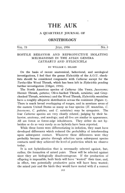 hostile behavior and reproductive isolating mechanisms in the avian