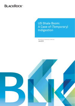 US Shale Boom: A Case of (Temporary) Indigestion