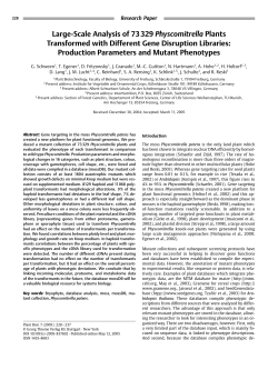 Production Parameters