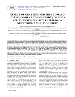 EFFECT OF GRAFTING RED TREE TOMATO (CYPHOMANDRA