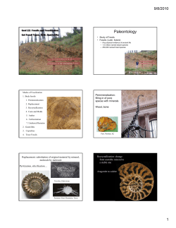 Paleontology - Pasadena City College