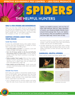 Spiders: The Helpful Hunters