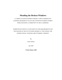 Mending the Broken Windows - SIT Digital Collections