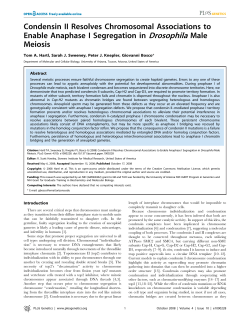 Condensin II Resolves Chromosomal Associations to Enable