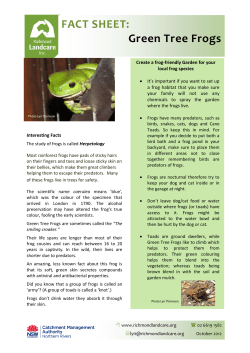Frog facts: Information sheet 2