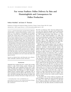 Fur versus Feathers: Pollen Delivery by Bats and