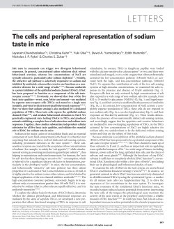 The cells and peripheral representation of sodium taste in mice