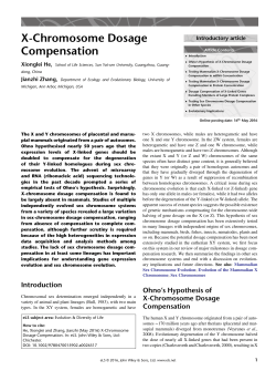 "X-Chromosome Dosage Compensation" in