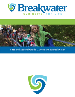 First and Second Grade Curriculum at Breakwater