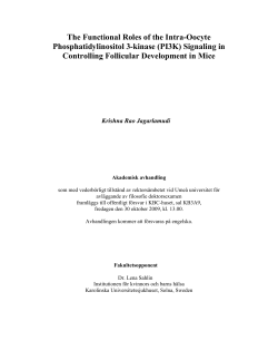 The Functional Roles of the Intra-Oocyte Phosphatidylinositol