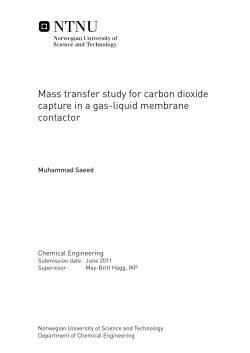 Mass transfer study for carbon dioxide capture in a gas