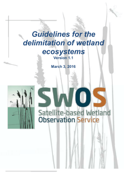 Guidelines for the delimitation of wetland ecosystems.