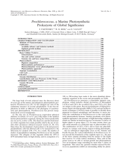 Prochlorococcus, a Marine Photosynthetic Prokaryote of