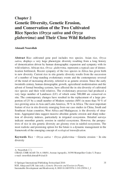 Genetic Diversity, Genetic Erosion, and Conservation of the Two