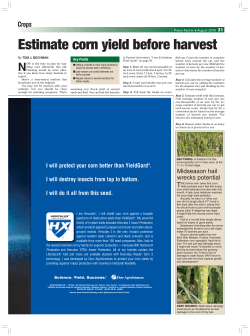 Estimate corn yield before harvest