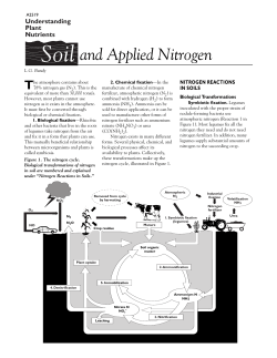 Soil and Applied Nitrogen