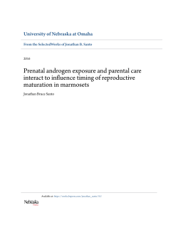 Prenatal androgen exposure and parental care