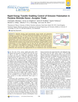 Rapid Energy Transfer Enabling Control of Emission Polarization in