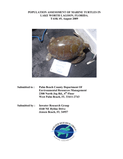 Lake Worth Lagoon &ndash; Aug 2009