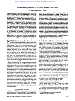 Activation Mechanisms of Adherent Human Neutrophils