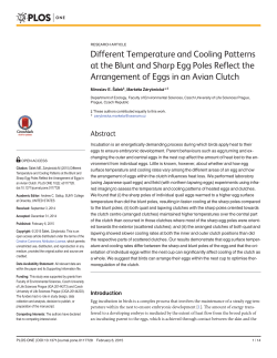Different Temperature and Cooling Patterns at the Blunt and