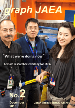 graph JAEA No.2: "What we`re doing now"