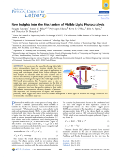 New Insights into the Mechanism of Visible Light