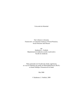 The Collective Lifestyles Framework: A Contextual
