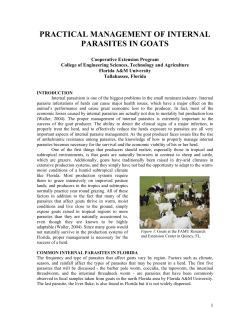 practical management of internal parasites in goats