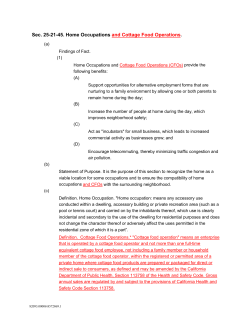 Sec. 25-21-45. Home Occupations and Cottage