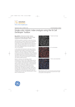 Single-color mitotic index analysis using the IN Cell Developer