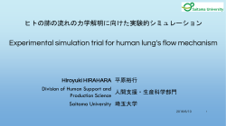 FLUID DYNAMICS IN BRONCHIOLES OF HUMAN LUNG
