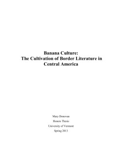 Banana Culture: The Cultivation of Border Literature in Central