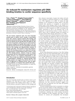 An induced fit mechanism regulates p53 DNA