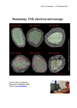 Nanotomy for LST 3rd year bachelor 2017-02-27