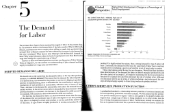 Topic 2_Chapt 5_Demand for labour