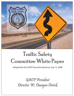 Traffic Safety Committee White Paper