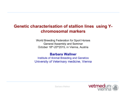 Genetic characterisation of stallions lines - Barbara Wallner