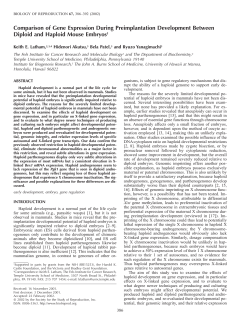 Comparison of Gene Expression During Preimplantation