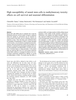 effects on cell survival and neuronal differentiation