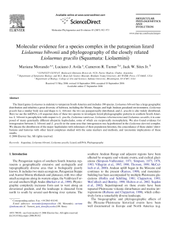 Molecular evidence for a species complex in the