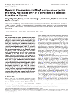 Dynamic Escherichia coli SeqA complexes