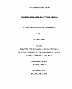 FRACTURED SPACES, SHAlTERED IMAGES