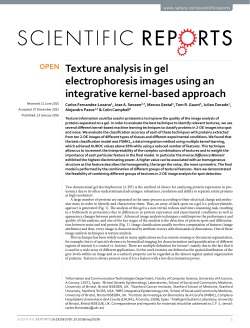 Texture analysis in gel electrophoresis images using an