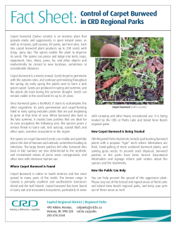 Fact Sheet - Capital Regional District