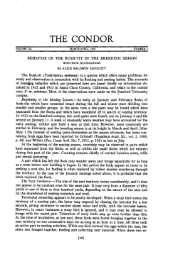 Behavior of the Bush-tit in the Breeding Season (with four ills.)
