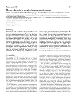 Mouse placenta is a major hematopoietic organ
