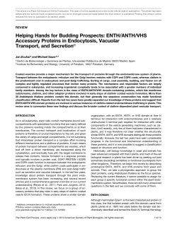 Helping Hands for Budding Prospects: ENTH/ANTH