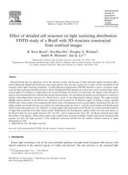 Effect of detailed cell structure on light scattering